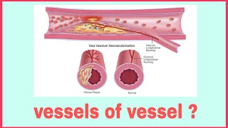 Vasa Vasorum  vessel of vessel [upl. by Sible]