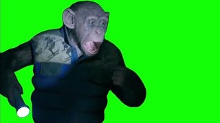 Monkey saying quotOH NOquot meme  Green Screen  War for the Planet of the Apes [upl. by Letniuq850]