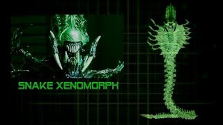 The Snake Xenomorph  Explained [upl. by Hungarian]