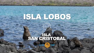 Isla Lobos  Lobos Island tour desde la Isla San Cristóbal en Galápagos [upl. by Gowrie]