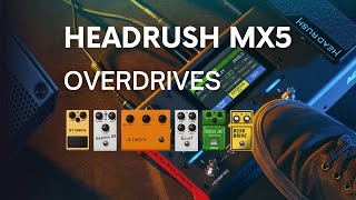 Headrush MX5  Overdrives Comparação [upl. by Jannel]