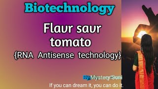 Flavr savr tomato  genetically modified plant  RNA Antisense technology  easy explanation [upl. by Ayeki]