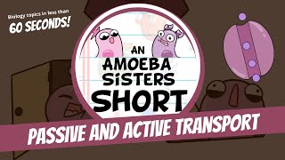 Passive and Active Transport  Amoeba Sisters Shorts [upl. by Tamis]