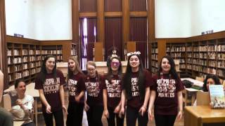 Mepham LipDub 2013 [upl. by Ailekahs358]