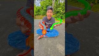 Rc Monster snake and big Rc caterpillar [upl. by Aztiram]