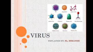 virus ultrastructure and morphology viral capsid  viral genome  prions virion  viroids [upl. by Aivul]