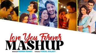 HINDI LOVE MASHUP ‼️ [upl. by Paresh841]