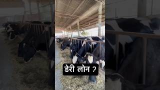 डेरी लोन लेना चाहिए या नहीं how to invest dairy loan in dairy business । Profit and loss of farm । [upl. by Yelrihs]