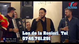 Leo de la Rosiori  Formatia Turnenii  Intrun sat e o casuta  LIVE [upl. by Nylleoj415]