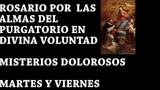 COMPLETOS MISTERIOS DOLOROSOS POR LAS ANIMAS Y POR TI EN DIVINA VOLUNTAD [upl. by Hubert971]