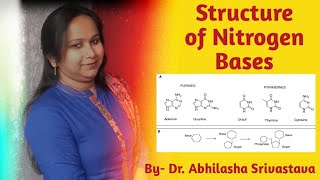 Structure of Nitrogen Bases Purine Adenine Gaunineamp Pyrimidine Cytosine Uracil amp Thymine [upl. by Marchall181]