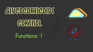 Glucocorticoid Cortisol Functions Effects on body Part1 Physiology Pharmacology MBBS NEET [upl. by Ybbob]