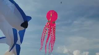 Cape fear kite festival 2024 [upl. by Lebatsirc]