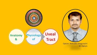 Anatomy amp Physiology of Uvea [upl. by Nevi278]