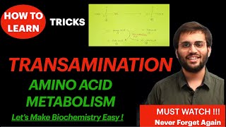 Transamination Biochemistry Amino Acid Metabolism Video Concepts  How to remember easily [upl. by Anora]