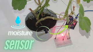 MOISTURE SENSOR [upl. by Ranie]