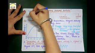 Enzyme activity and factors affecting enzyme activity [upl. by Siletotsira]