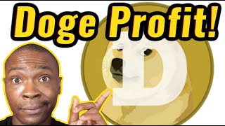 How Much is Dogecoin Worth 🚀 Crypto Investor Reacts to Price  Doge Profit  Adam Shelton [upl. by Ennayllek]