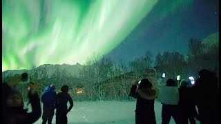 🇳🇴Chasing Lights in Tromsø Norway [upl. by Allenod]