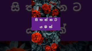 adaraya mohothak sithanna love music hindisong ❤️🥀💖🌹 [upl. by Angus]