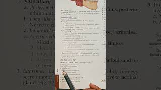 Branches of Maxillary Nerve anatomy cranialnerve bdchaurasia medicalstudents [upl. by Tice97]