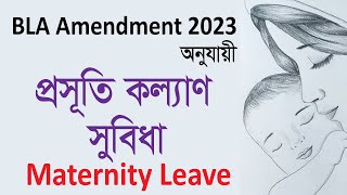 Maternity Benefit in Bangladesh  Maternity Leave  মাতৃত্বকালীন সুবিধা  Labor Law Amendment 2023 [upl. by Zolly782]