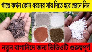 গাছে কখন কোন ধরনের সার দিতে হবে জেনে নিন [upl. by Belayneh]