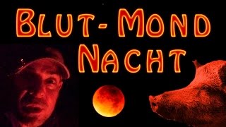 Blutmond mit Wildschweinen Eine Nacht alleine Im Wald [upl. by Edasalof]