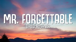 David Kushner  Mr Forgettable Lyrics quothello hello are you lonelyquot [upl. by Enelloc]