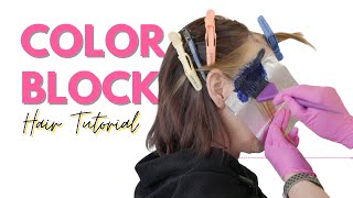 Color Blocking Hair Tutorial  MAJOR HAIR COLOR TRANSFORMATION haircolor [upl. by Cudlip]