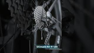 Introducing the AllNew SAVA A7SL Road Bike savbike A7SL RoadBike CyclingLife BikeLaunch [upl. by Asenav]