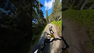 Close call 😰 Wait for the final turn… flowcam shorts short youtubeshorts mtb epic sports [upl. by Llezniuq337]