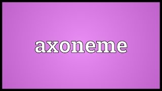 Axoneme Meaning [upl. by Niessuh142]