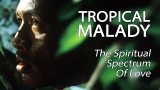 Tropical Malady  The Spiritual Spectrum Of Love [upl. by Hays]