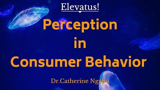 How Perception influences Consumer Behavior [upl. by Abana1]