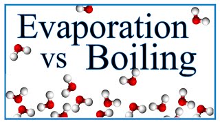 Boiling vs Evaporation Definition Examples amp Explanation [upl. by Vaasta]