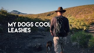 My Dogs Cool  Climbing Rope Dog Leash [upl. by Adrian]