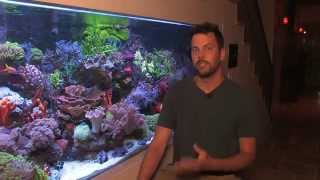 Vivid 400 Gallon Mixed Reef Aquarium 2012 [upl. by Mcfadden644]