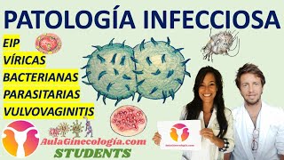 PATOLOGÍA INFECCIOSA AulaGinecología  STUDENTS BACTERIANAS VÍRICAS PARASITARIAS EIP [upl. by Jermyn]