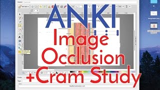 How to Use Anki Effectively  Image Occlusion 20 and Cram Studying Part 2 [upl. by Bernardi609]