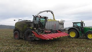 Kolbenfresser  Claas Jaguar 970 bei der Lieschkolbensilage  Maisernte 2018  LKS [upl. by Winfrid]