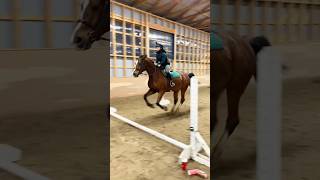 😍🐴 Learning To Jump A Horse shorts horseriding equestrian [upl. by Len253]