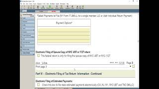 Pro series schedule C tax Return [upl. by Elrae]