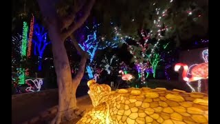 Cruise through Phoenix ZooLights this holiday season [upl. by Knick]