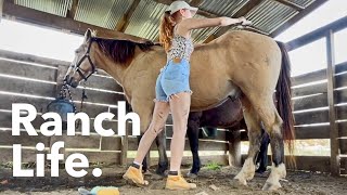 A British girl tries Ranch Life in Tennessee [upl. by Annoyek]