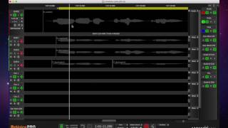 ReVoice Pro 32 Pt 4 — Edit Process Range [upl. by Auhs]