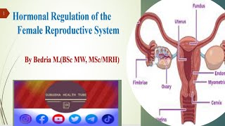 Female Reproductive Physiology hormones regulationthe menstrual cycle do youknow when to conceive [upl. by Prunella658]