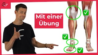 Starke Knie Füße und Sprunggelenke  Mit nur einer Übung [upl. by Anolahs929]