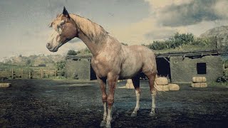 Red Dead Redemption 2 Every Horse  Red Roan Tennessee Walker [upl. by Deirdre]