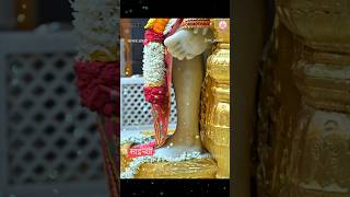 Sai Baba Kakad Aarti LIVE NOW  Spiritual Short Videos [upl. by Hamimej]